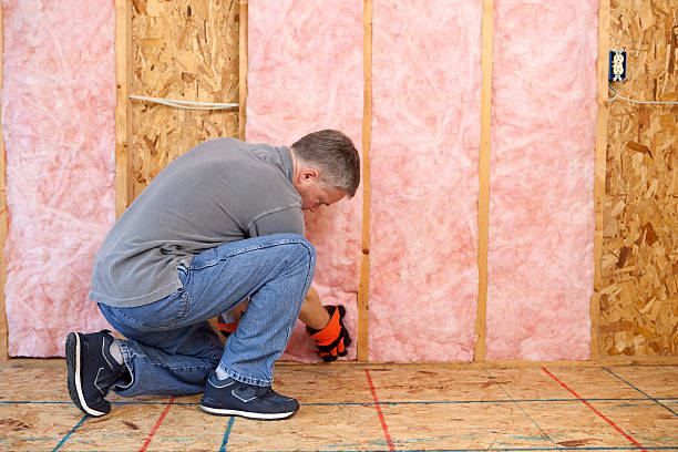 Best Types of Insulation in Belding, MI
