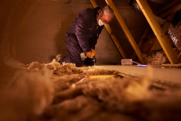 Best Insulation Installation Services in Belding, MI